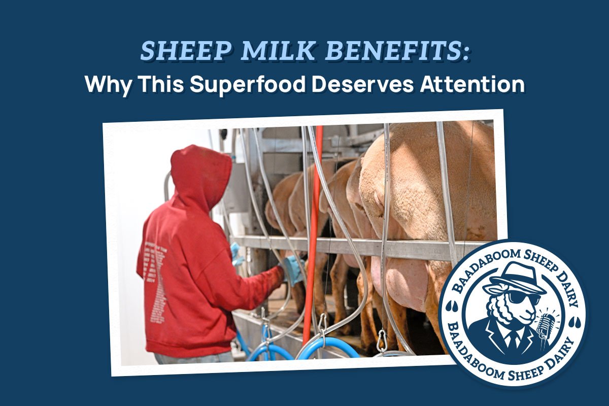 Sheep Milk Benefits: Why This Superfood Deserves Attention
